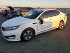 2013 KIA Optima Hybrid