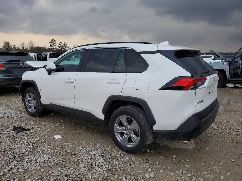 2024 Toyota Rav4 xle