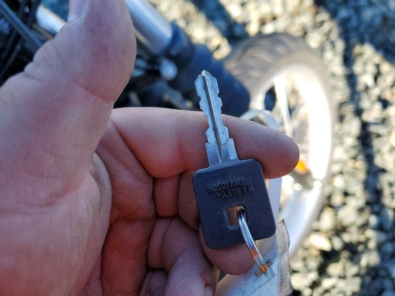 2020 Harley-Davidson XL883 N