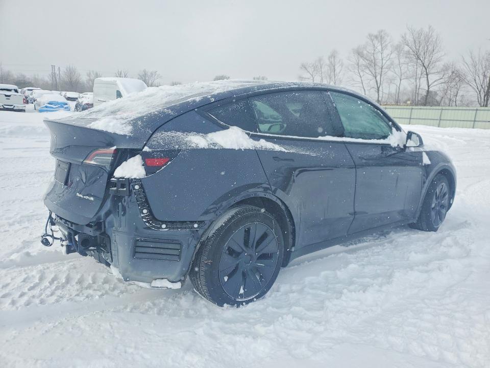 2025 Tesla Model y