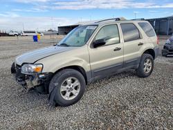 Ford salvage cars for sale: 2006 Ford Escape xlt
