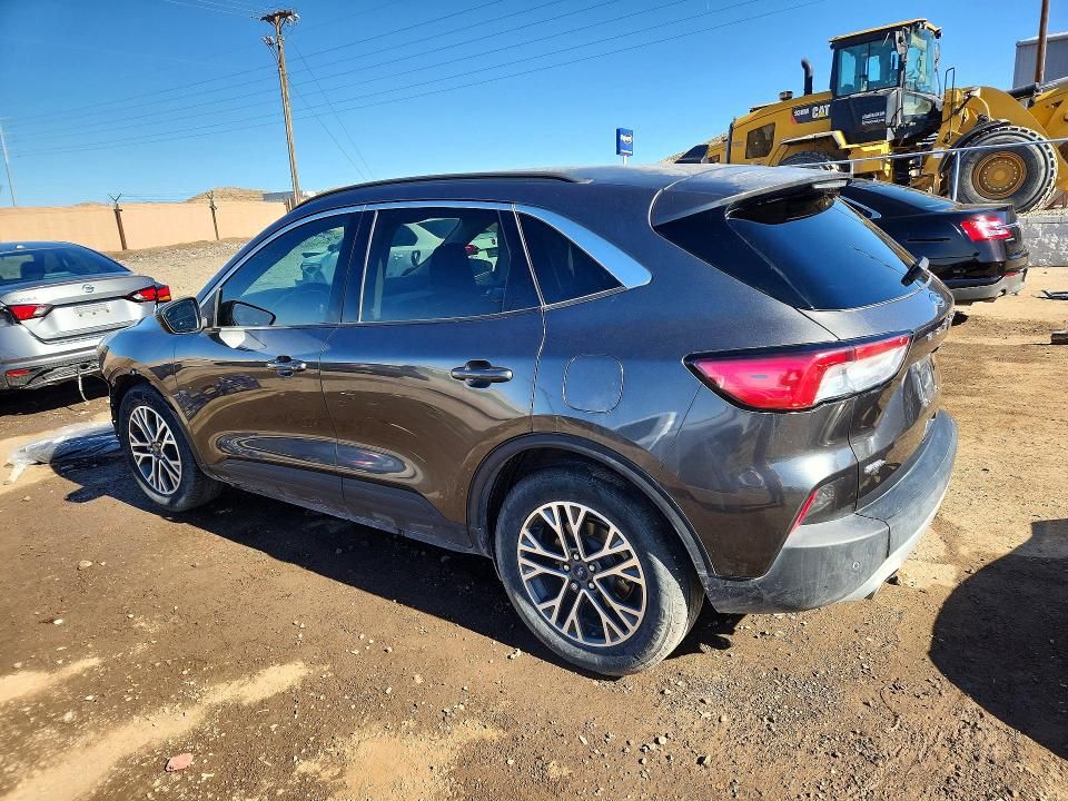 2020 Ford Escape sel