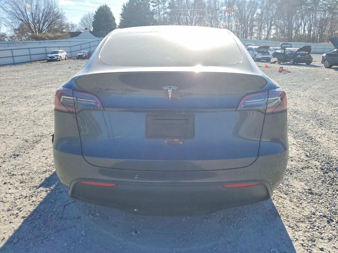 2025 Tesla Model y
