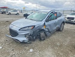 2022 Ford Escape Titanium for sale in Cahokia Heights, IL