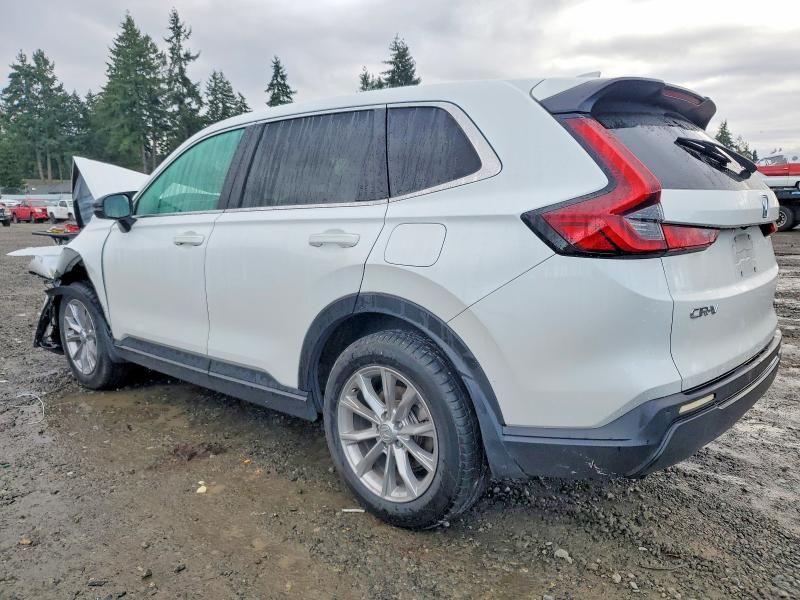 2023 Honda Cr-v exl