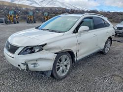 Lexus Rx450 salvage cars for sale: 2011 Lexus Rx 450h