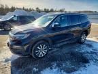 2021 Honda Pilot exl