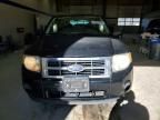 2009 Ford Escape xls