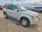 2008 Ford Escape Limited