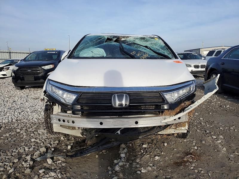 2023 Honda Odyssey exl