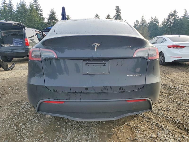 2025 Tesla Model y