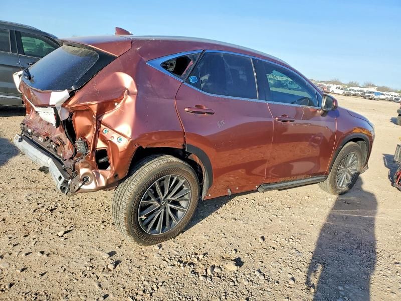 2025 Lexus Nx 350 Luxury