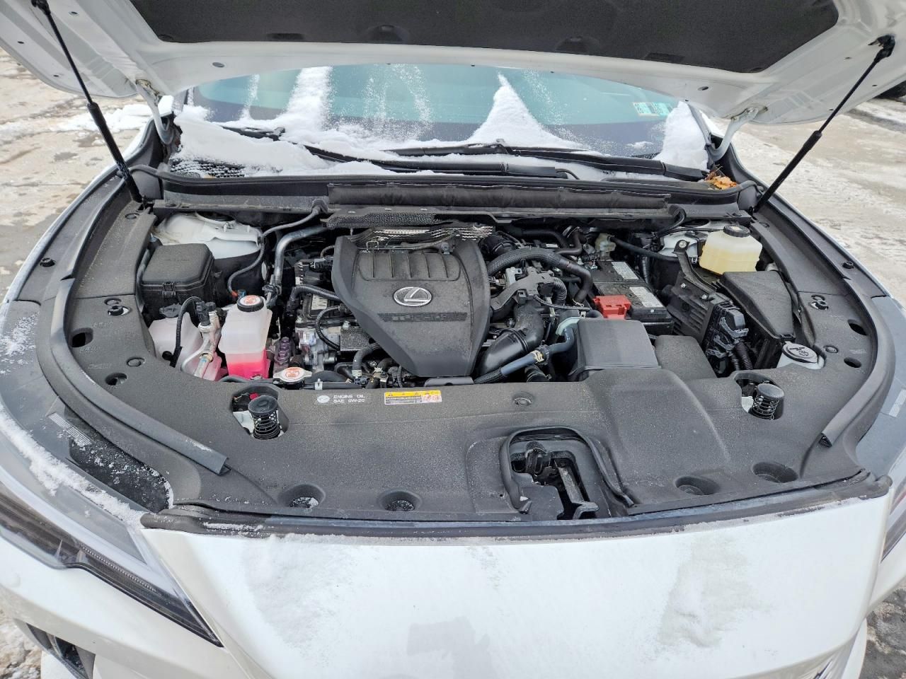 2025 Lexus Rx 350 Base