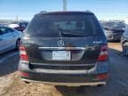 2009 Mercedes-Benz Ml 350