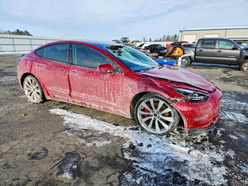 2019 Tesla Model 3