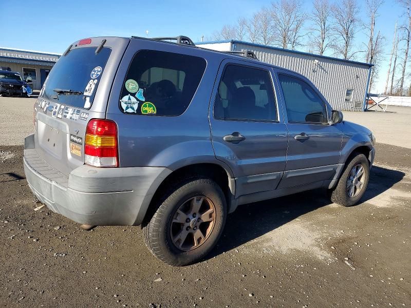 2007 Ford Escape xlt