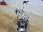 2009 Harley-Davidson Flstc