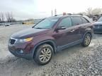 2011 KIA Sorento Base