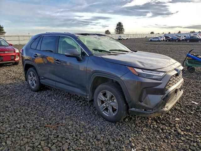 2024 Toyota Rav4 xle