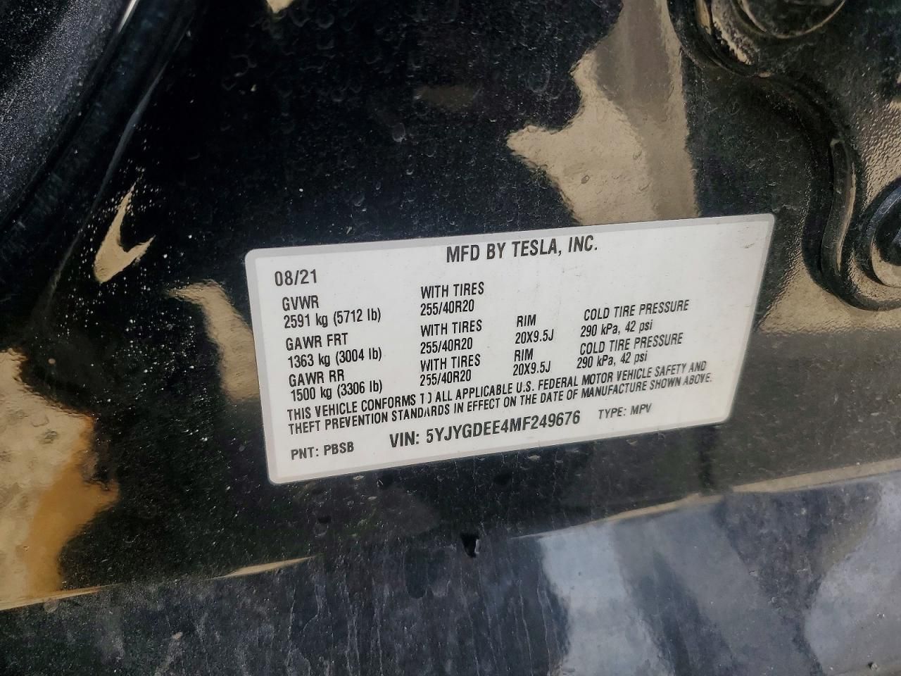 2021 Tesla Model y