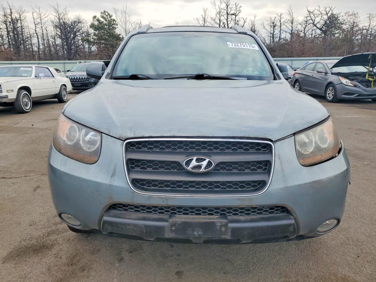 2007 Hyundai Santa fe se