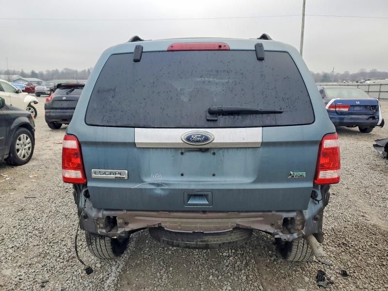 2010 Ford Escape Limited