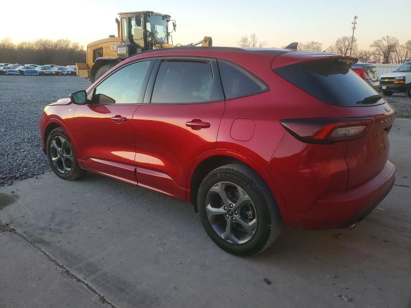 2024 Ford Escape st Line