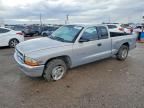 2000 Dodge Dakota