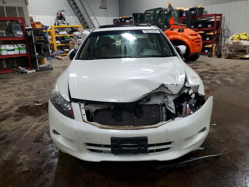 2010 Honda Accord exl