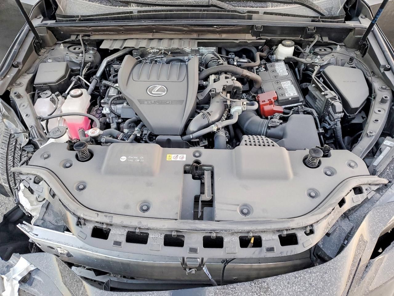 2025 Lexus Nx 350 Premium