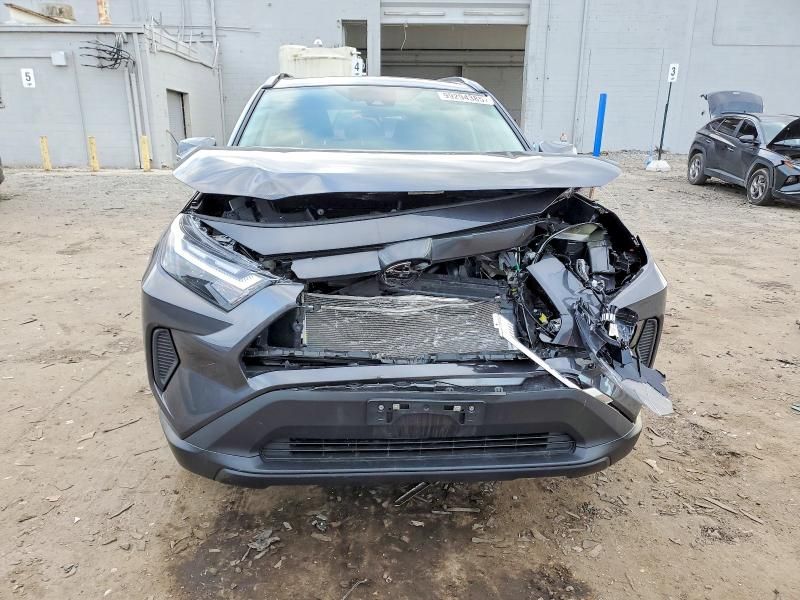 2025 Toyota Rav4 xle