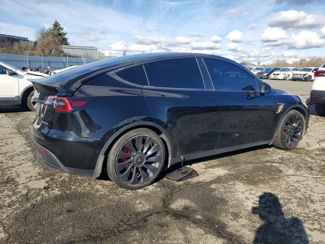 2022 Tesla Model y