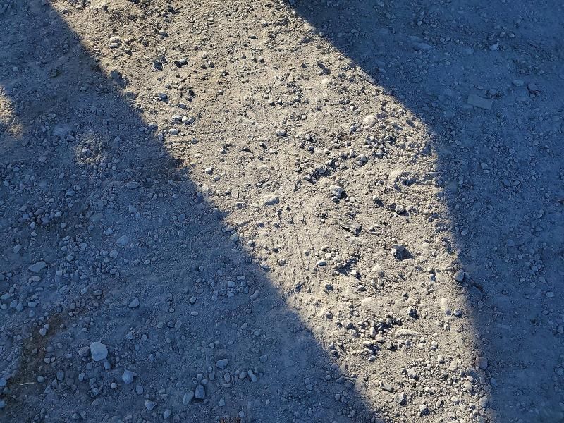 2018 Wilson Livestock Trailer