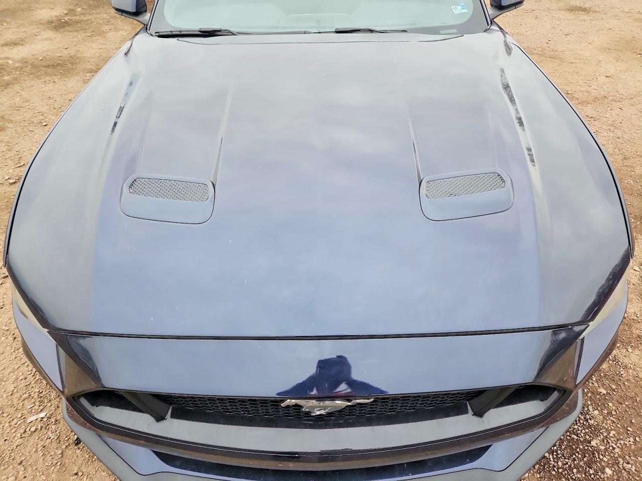 2021 Ford Mustang gt