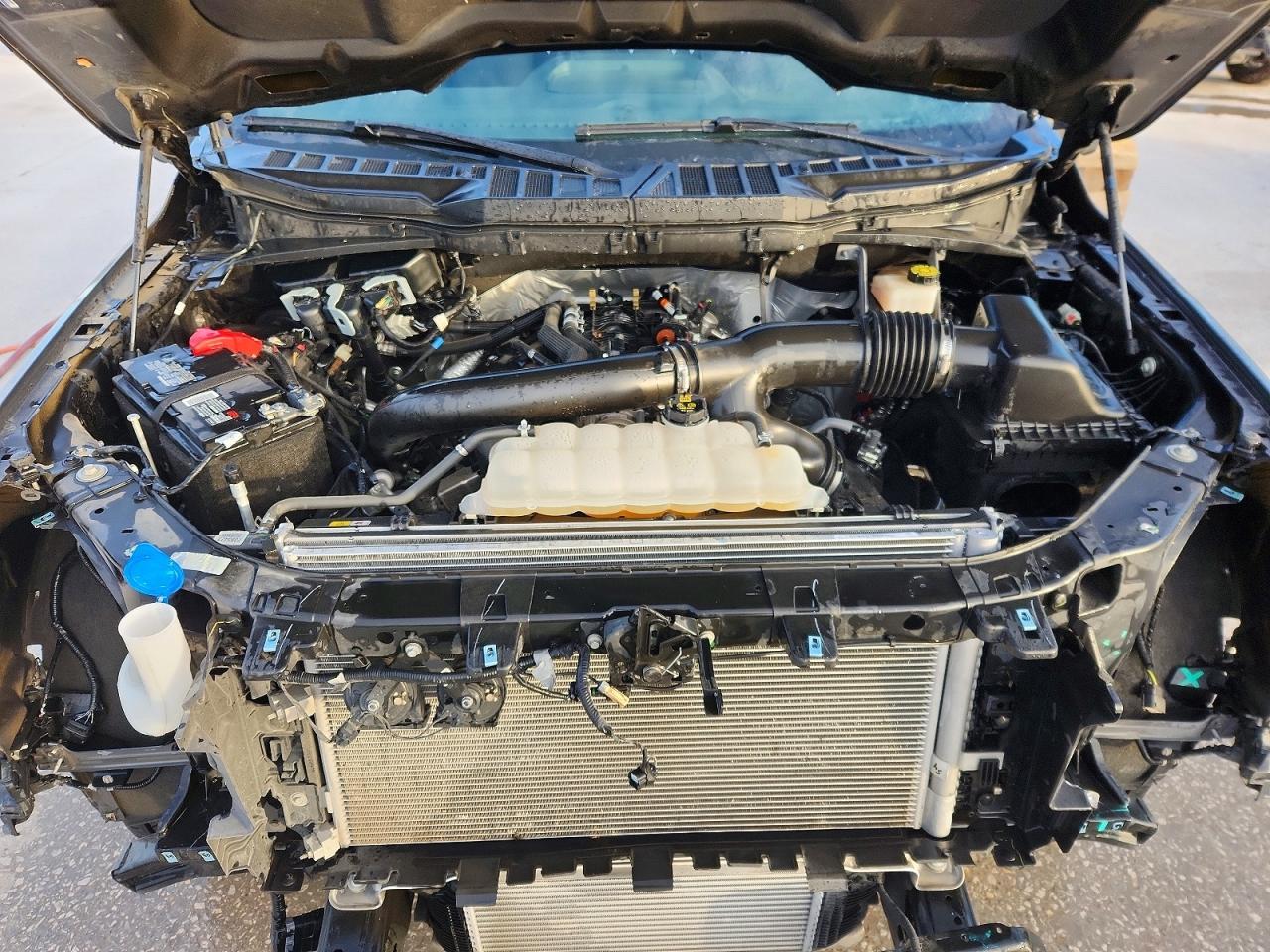 2024 Ford F150 XLT