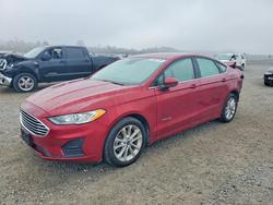 Salvage cars for sale from Copart Lumberton, NC: 2019 Ford Fusion se