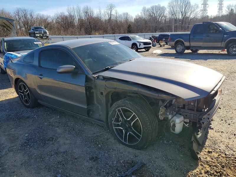 2013 Ford Mustang