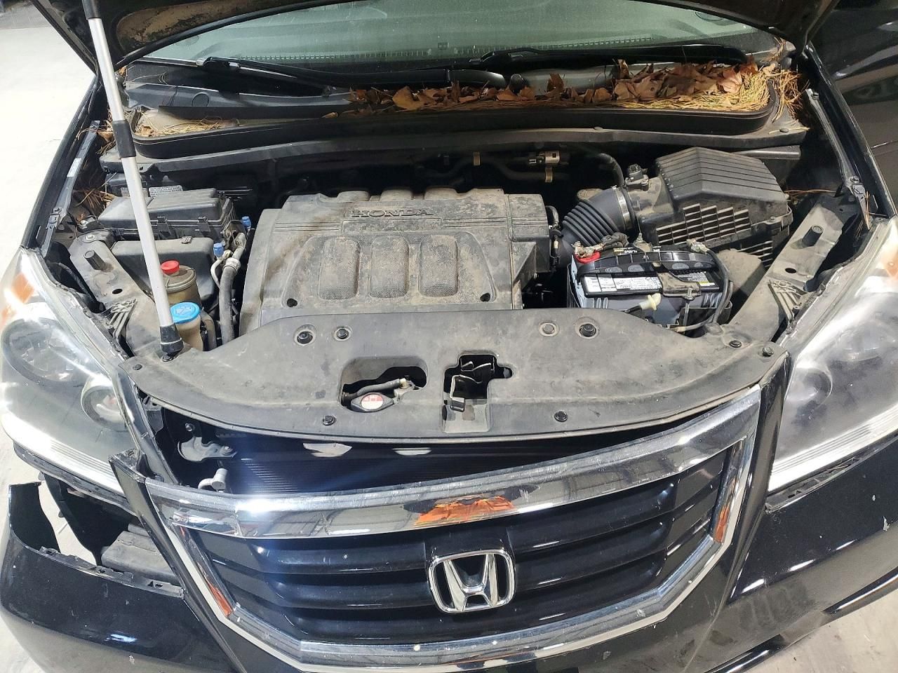 2010 Honda Odyssey exl