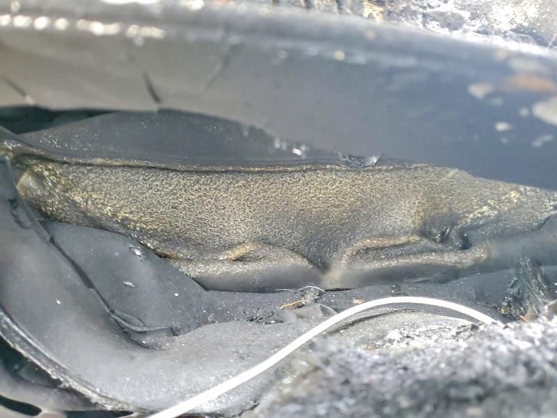 2016 Dodge Charger se