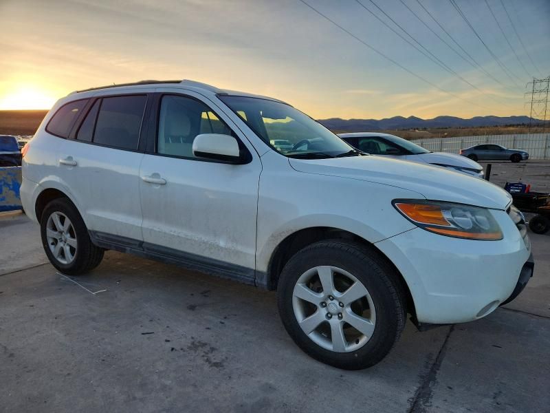 2009 Hyundai Santa fe se