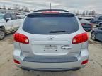 2009 Hyundai Santa fe se