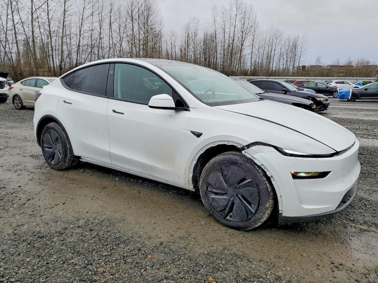 2026 Tesla Model y