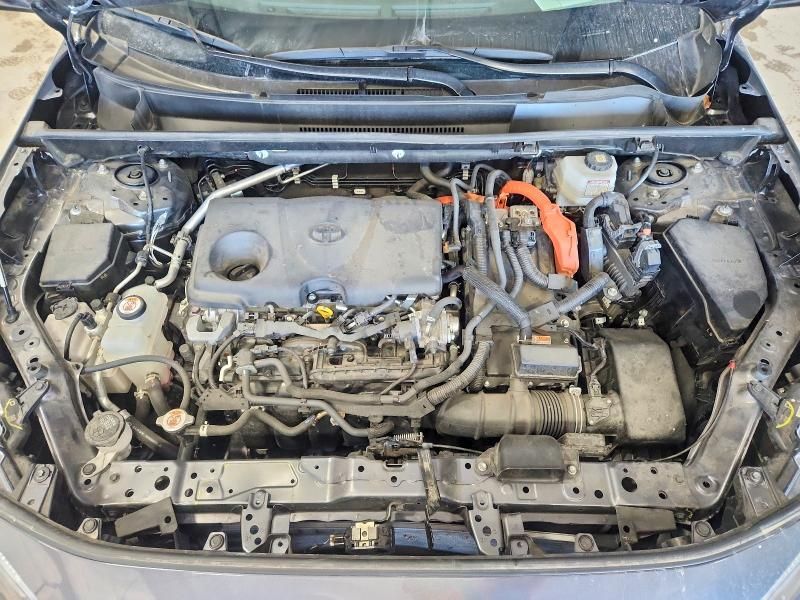 2024 Toyota Rav4 xse