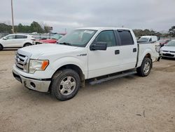 2011 Ford F150 Supercrew en venta en Newton, AL
