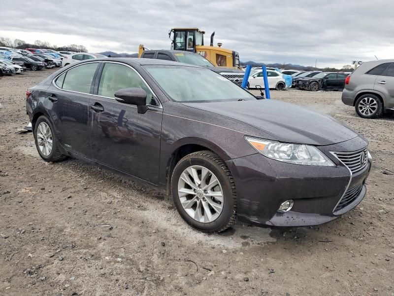 2015 Lexus Es 300h