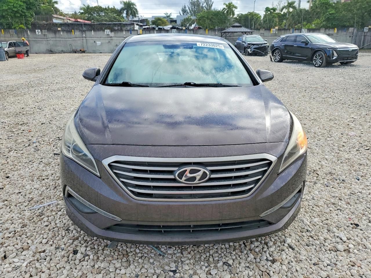 2015 Hyundai Sonata se