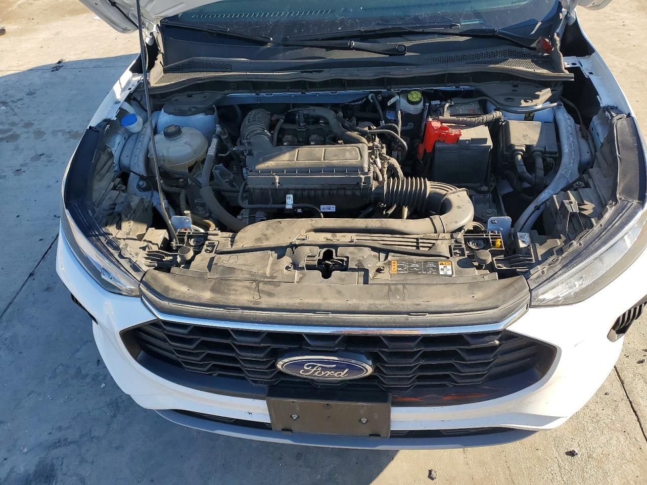 2023 Ford Escape st Line