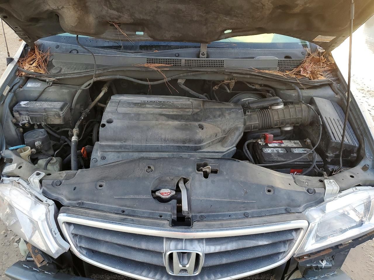 2002 Honda Odyssey exl