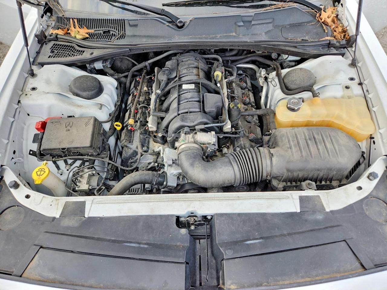 2019 Dodge Challenger R/T