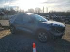 2025 Ford Escape st Line